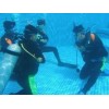 深圳市公安边防支队潜水装备采购项目