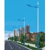 江苏森发单火路灯 DL-019