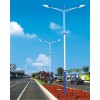 市电路灯双头路灯DL-010 优质的防尘防水性能