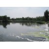 生态湿地污水处理