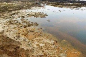 环保部严打向坑塘排污违法犯罪 督促地方实施生态修复