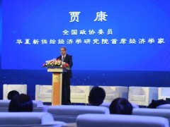 全国政协委员、华夏新供给经济学研究院首席经济学家贾康