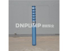 250QJ井用潜水泵图2