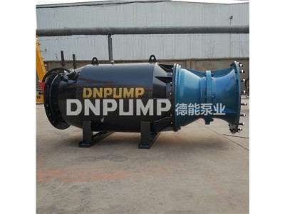 河道用潜水泵图3