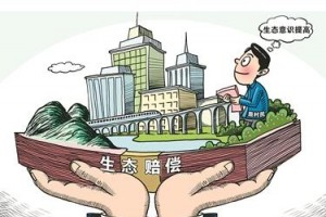 加码污染防治和执法监察 生态环境部年度预