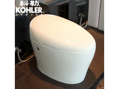 科勒坐便器图2