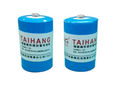 镉镍扁形蓄电池组图2