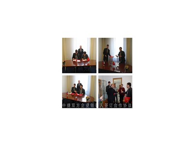 青岛沃利玛生物质蒸汽发生器|高效率图2