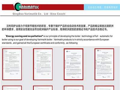 青岛沃利玛生物质蒸汽发生器/洁净燃料蒸汽发生器图3