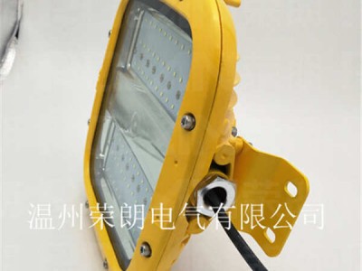 HRD93LED防爆灯规格;35W防水防腐灯图3