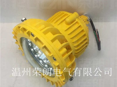 应用于纳米车间FW6580-30WLED防爆灯图2