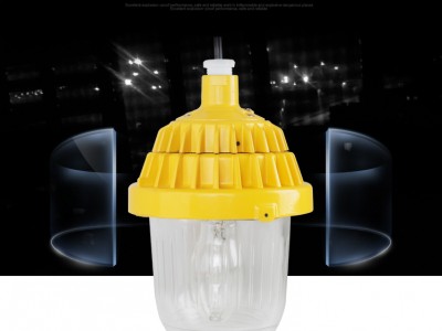 SW8300防爆金卤灯;70W防爆平台灯报价图3