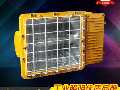 低价出销BAT53-400W防爆泛光灯图2