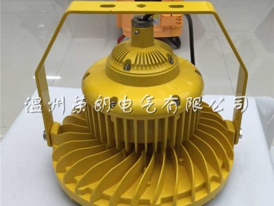 高亮度BLD138LED防爆灯；80W防爆高效灯图2