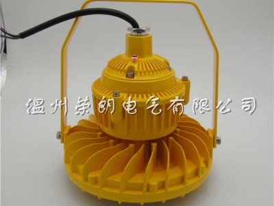 BDE503LED防爆灯；大面积防爆50W泛光灯图3