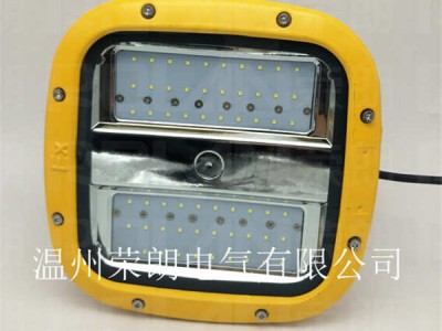 HRD93-55W防爆壁挂灯 IP66LED防爆灯图3