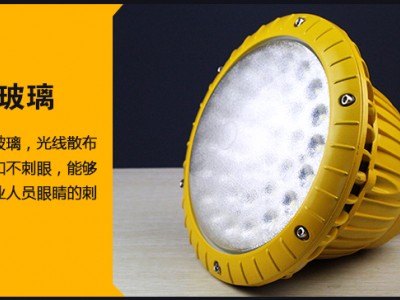 BPC8766节能防爆灯 60W防爆隧道LED灯图3