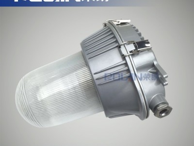 BFDH6030主厂房防眩灯 100W金卤泛光灯图2