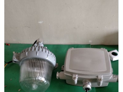 吉林电站100W防眩泛光灯 NFC9132三防节能灯图2