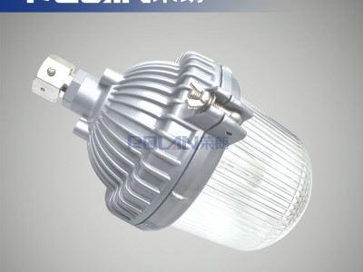 吉林电站100W防眩泛光灯 NFC9132三防节能灯图3