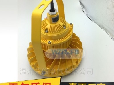 FW6580LED防爆灯图片 20W防爆车间灯图3