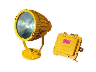 煤尘70W防爆钠灯 BTW6216防爆投光灯图2