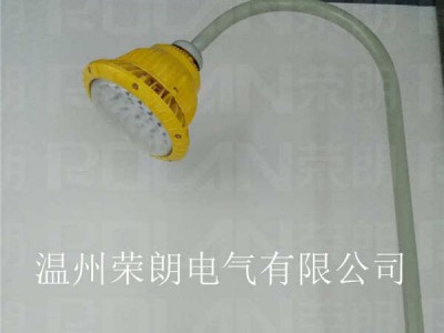 BPC8766LED防爆灯 60W防爆厂房灯价格图2
