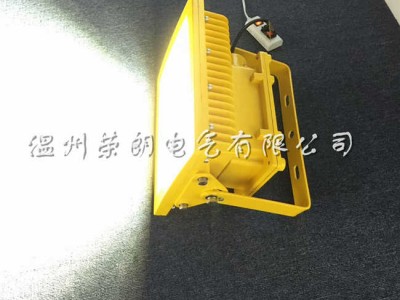 HRT92沼气房LED防爆灯 50W防爆投光灯图2