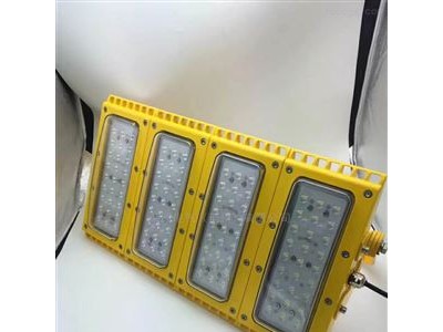BLC8615免维护模组灯 100WLED防爆灯图片图3