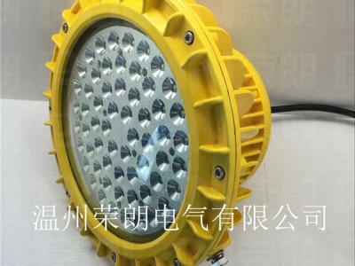 BDE525高亮度LED防爆灯 100W防爆厂房灯图3