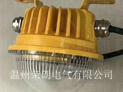 SW7160石化LED防爆灯 20WLED免维护灯图3