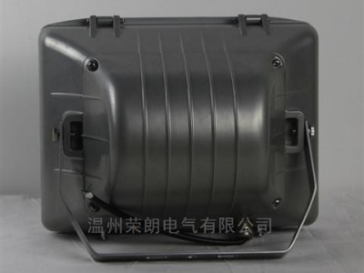 GT301厂区防眩通路灯 100W三防节能灯图2