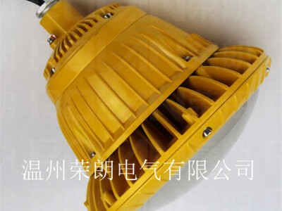 自贡30W防爆车间灯 BLD118LED防爆灯图2