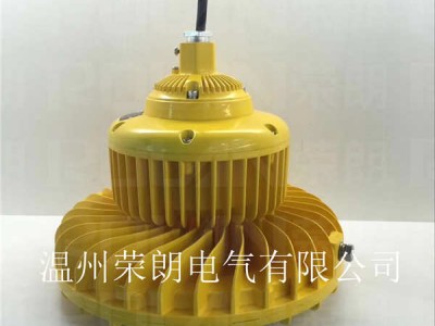 BLD118LED防爆灯 60W防爆工矿灯图2