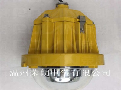 DGS48LED防爆灯 24W/IP67LED吊杆灯图2