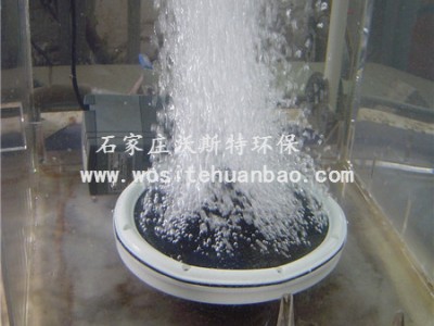 微孔盘式曝气器 215微孔曝气头 型号齐全价格低 沃斯特环保图3