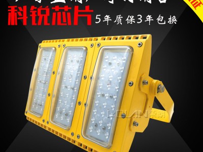 酒库CCD298LED防爆灯 100W模组LED灯图2