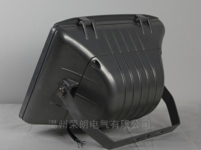 大型设施防眩通路灯 GT001金卤型三防灯图2