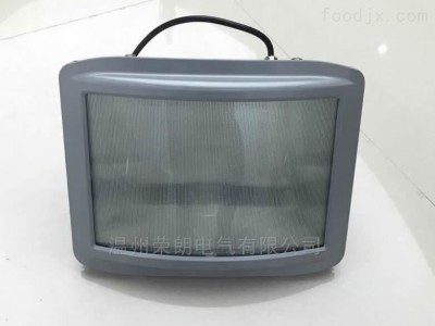 大型设施防眩通路灯 GT001金卤型三防灯图3