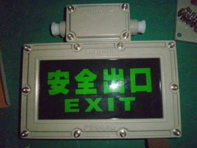 工厂BAYD81防爆指示灯 消防应急安全出口灯图2