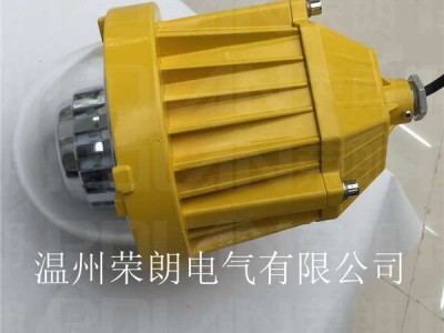 IIC级防爆平台灯 DGS48LED防爆灯图2