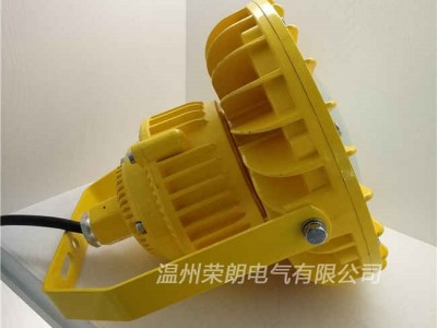 瓷砖厂BLD220-30WLED防爆灯报价图2