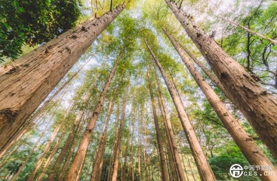 环保政策热潮掀起，激发环境监测产业活力