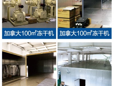 真空冻干机 冷冻干燥机 空气压缩机 过滤器预冻 实验室用图3