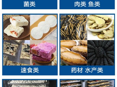 真空冻干机 生产型节能真空冷冻干燥机冻干菇类菌类图2