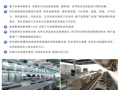 油烟检测仪 油烟在线监测仪 饮食行业油烟浓度分析仪图3