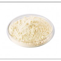 BK催化剂微粉洗涤设备|催化剂微粉洗涤设备厂家
