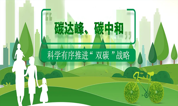 科学有序推进“双碳”战略