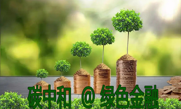 刘俏预计中国实现碳中和需要逾250万亿元投资