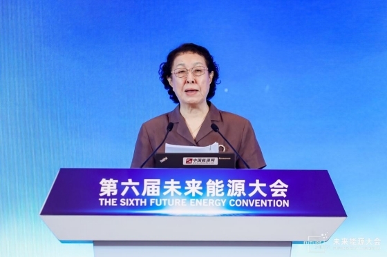 第六届未来能源大会（FEC2024）在苏州召开